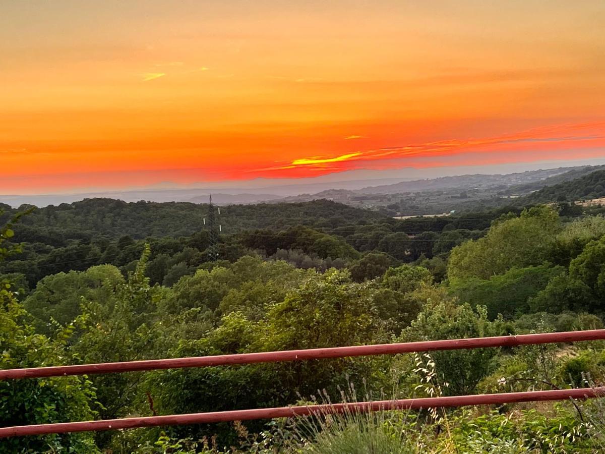 B&B Il Tramonto Barbarano Romano Exteriér fotografie