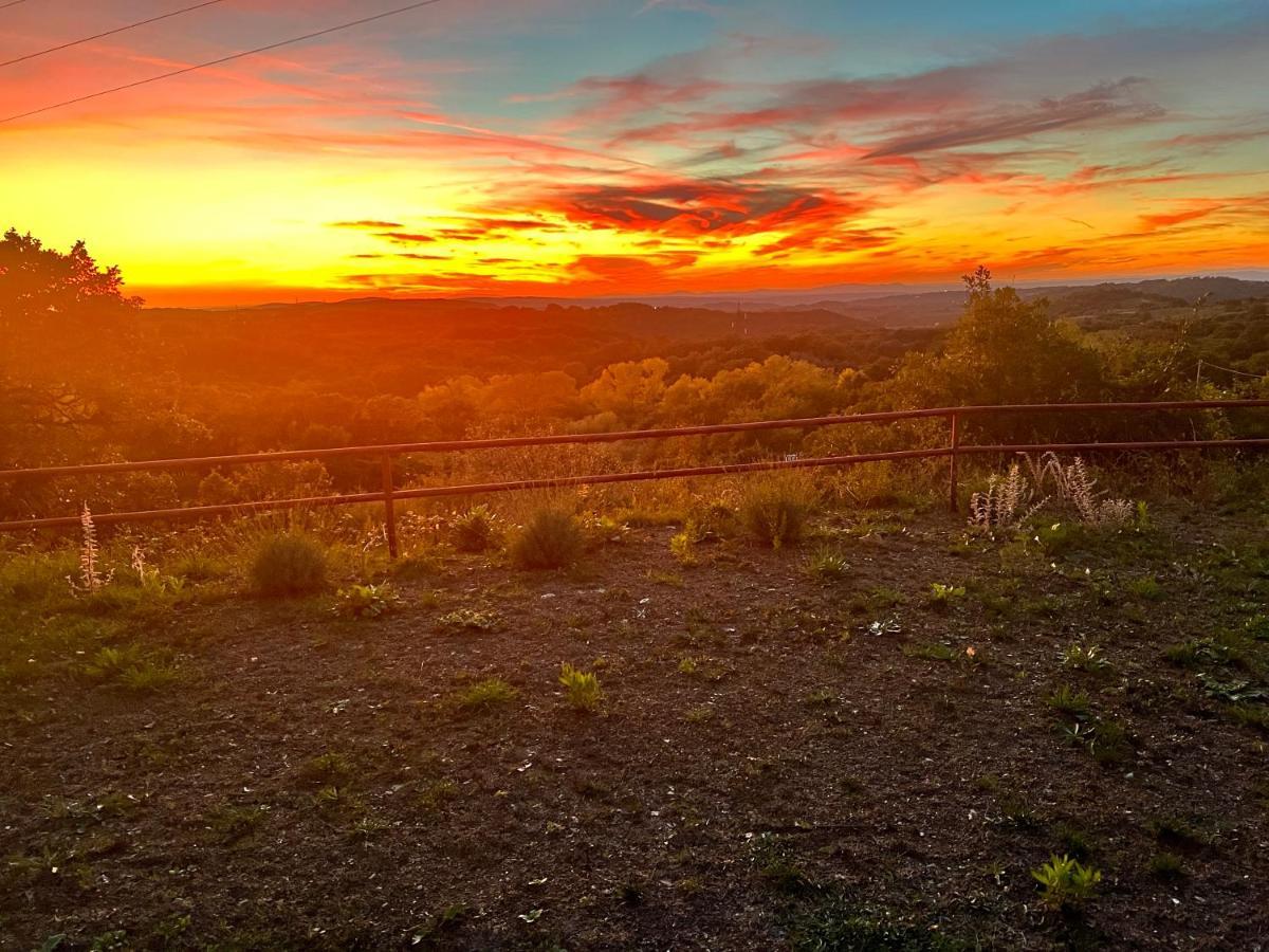 B&B Il Tramonto Barbarano Romano Exteriér fotografie